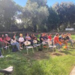 Il pubblico